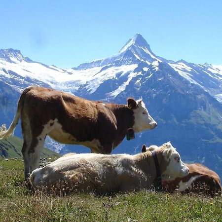 Beim See Grindelwald Exterior foto