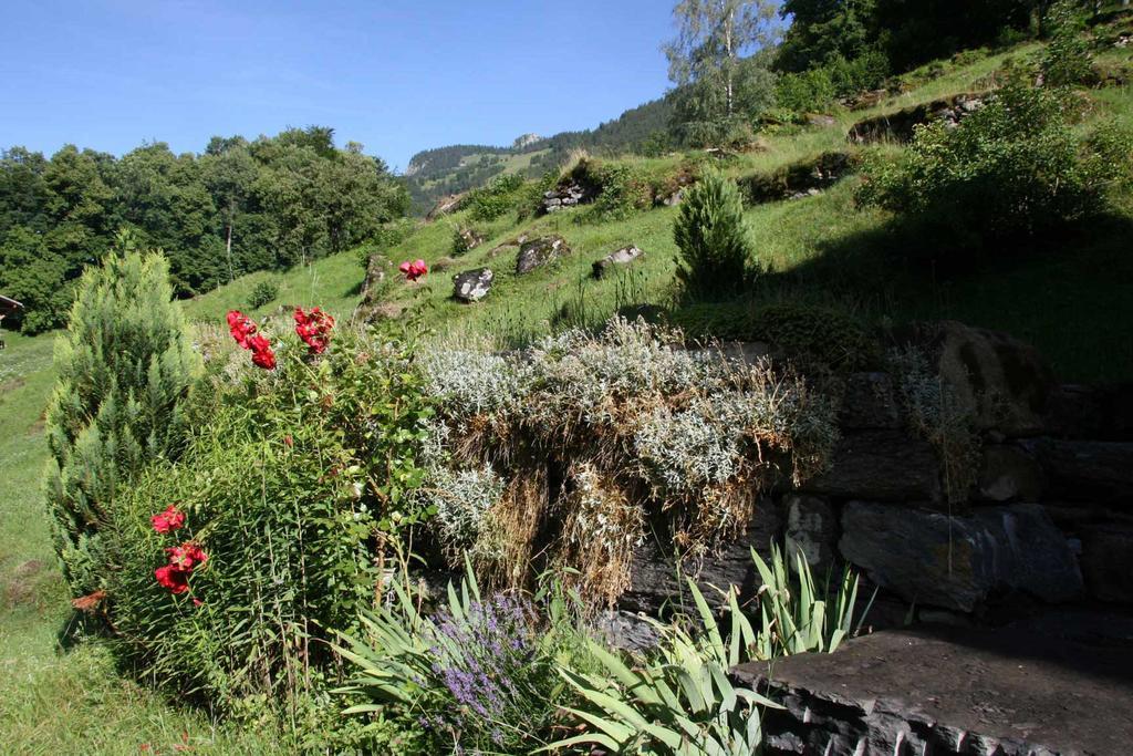 Beim See Grindelwald Exterior foto