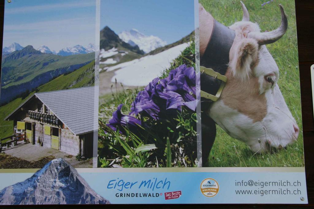 Beim See Grindelwald Exterior foto